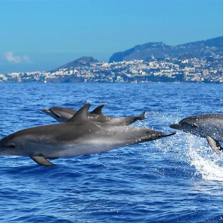 Do Corpo Santo Funchal